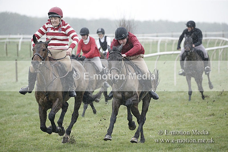 PtP 150320 0017 - New Forest Point-to-Point Larkhill 15/03/20