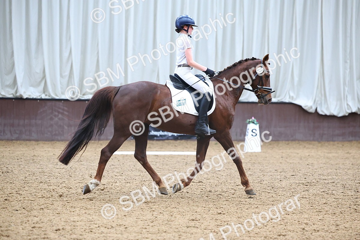 SBM_005642 - Class 3 - Novice 5