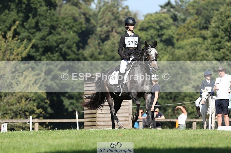 250823A-101822-26814 - Arena D