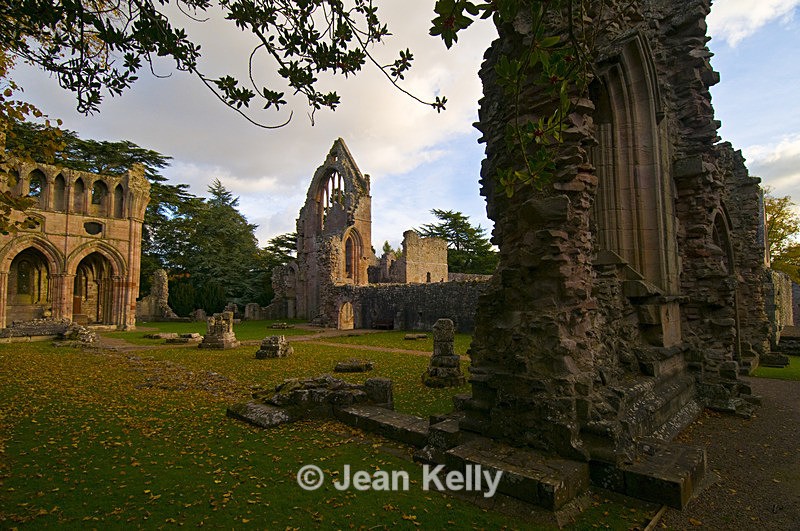 Dryburgh Abbey - 8681 - Scotland