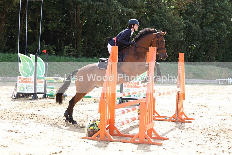 3E7A3699 - Class 4: Senior British Novice/90cm open