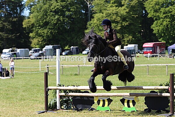 IMG_4310 - Working Hunter
