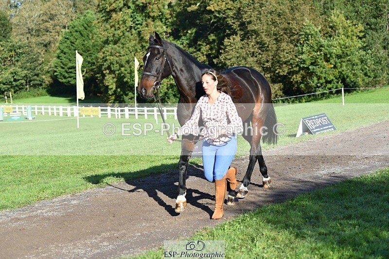 231022-101846-22402 - 430-HUNTSMAN.COM-Rachael.Watson-TrotUp+SJ