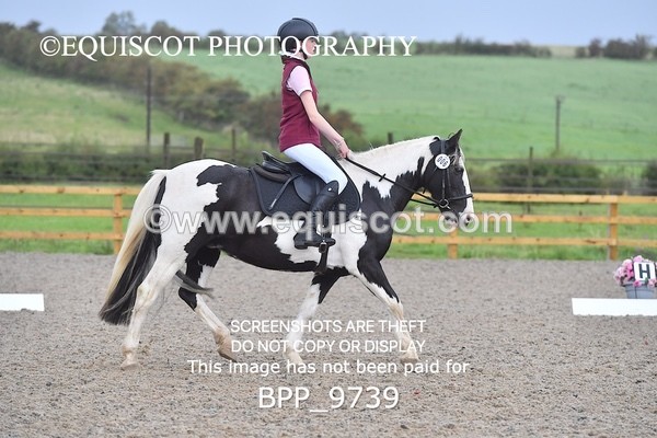 BPP_9739 - INTRO 3