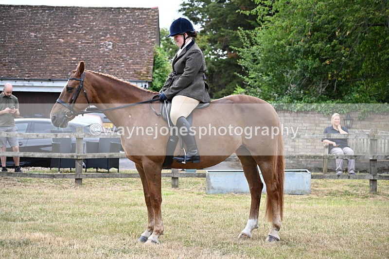 WJ6_3817 - Class 9 Tack & Turnout