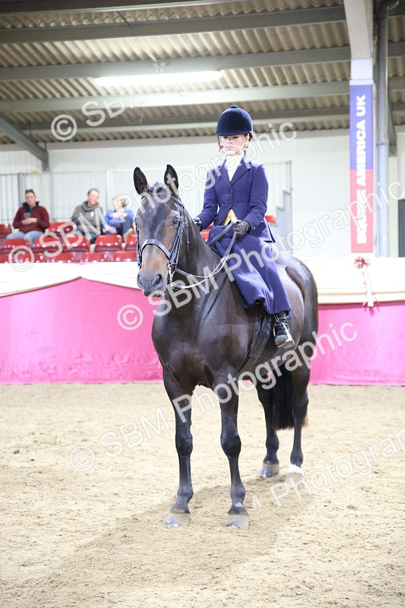 5K7A1491 - Class K Equitation Champ