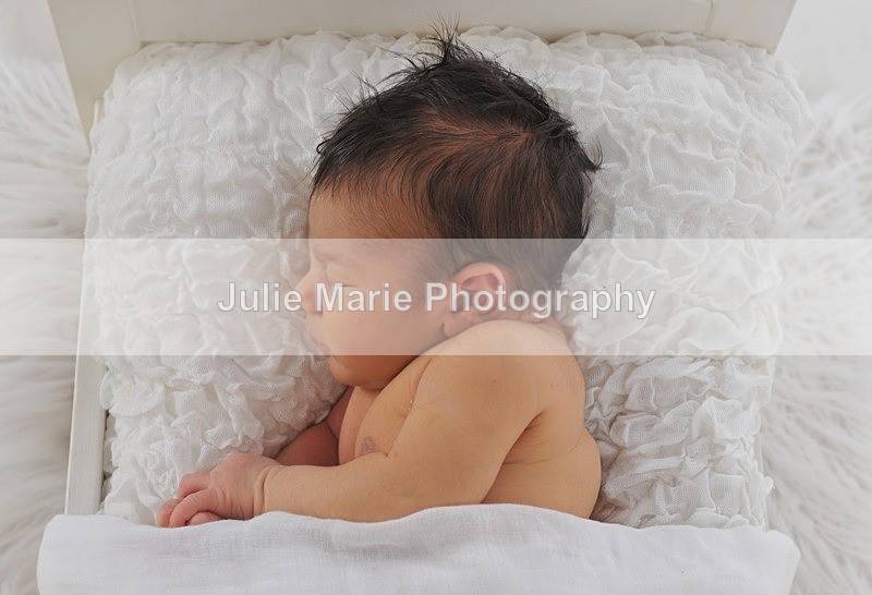 DSC_4947 - Sadie