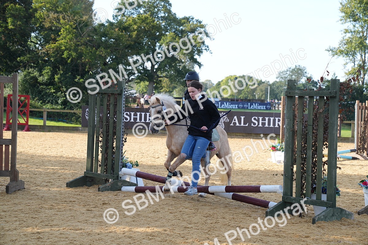 SBM_61239 - J1 - Mini Tour Junior Pony Lead Rein 30cm Championship