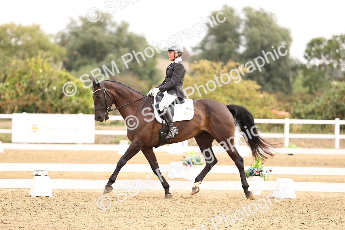 SBM_011587 - Class 1 - Medium 5