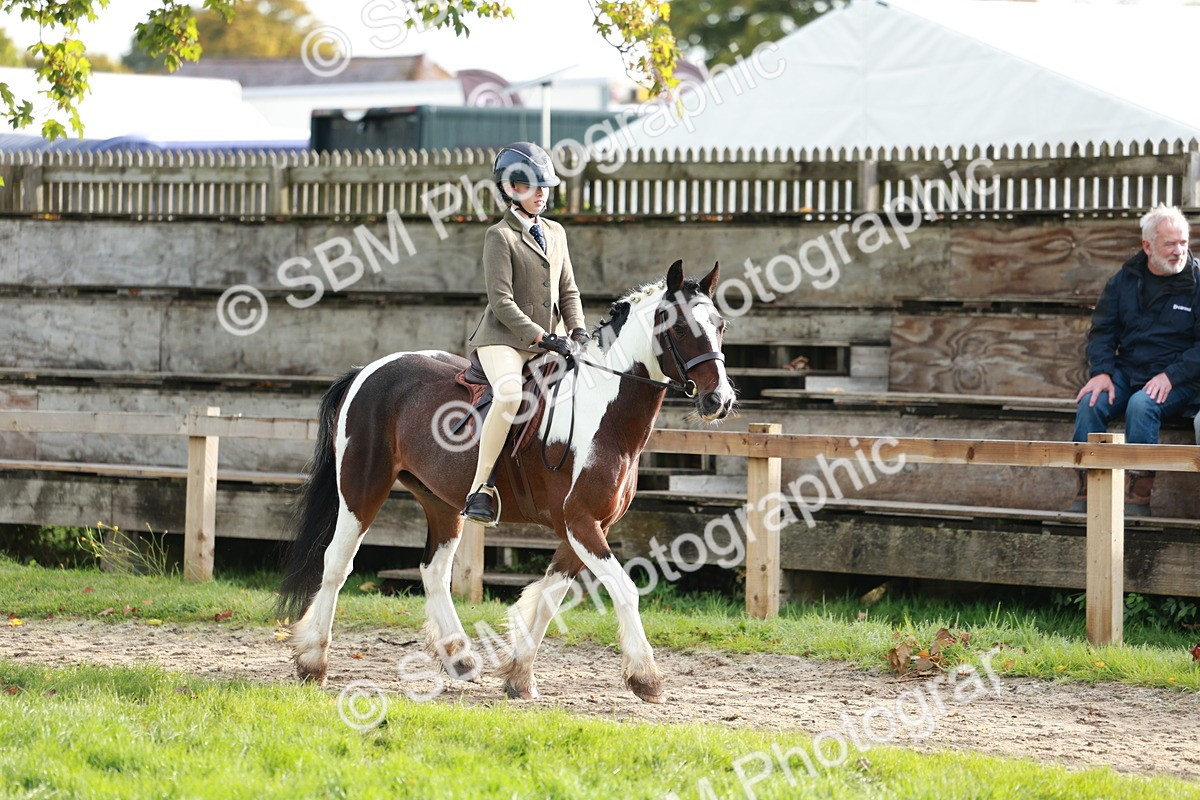 SBM_56374 - S39 - Starters In Hand Showing