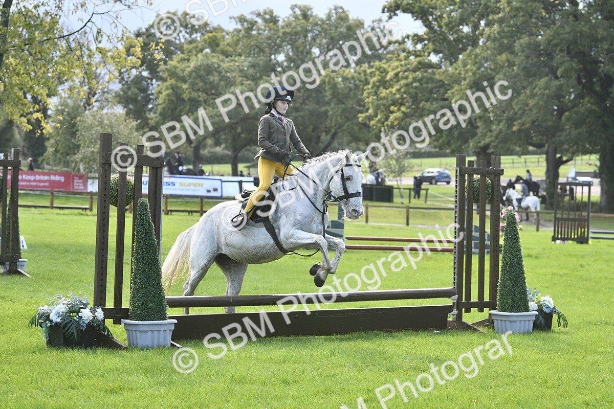 SBM_37211 - S31 - Novice & Newcomer Working Hunter Pony