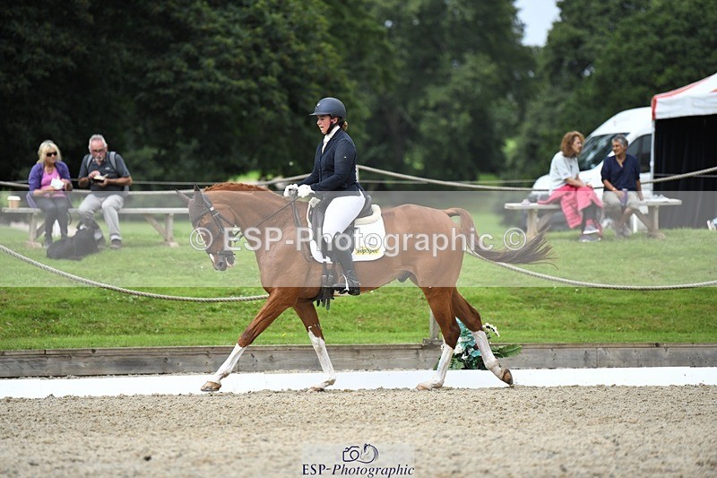 230812-122129-04101 - Cls 6 Novice Silver 12.10 to End