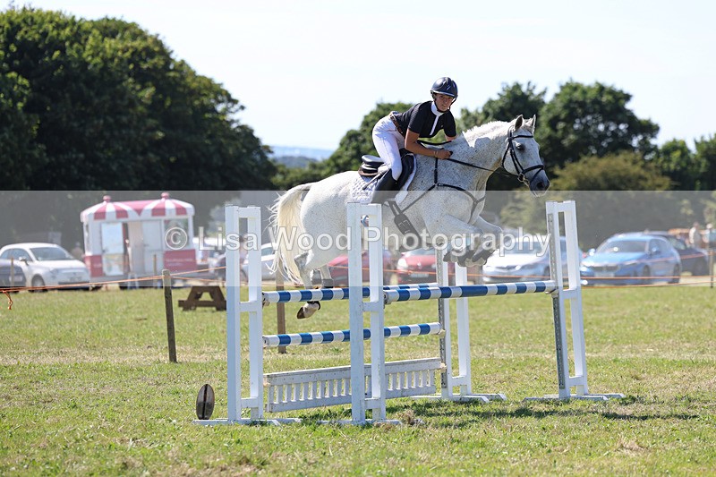 3E7A6380 - Class 13: Senior Newcomers/1.10m open