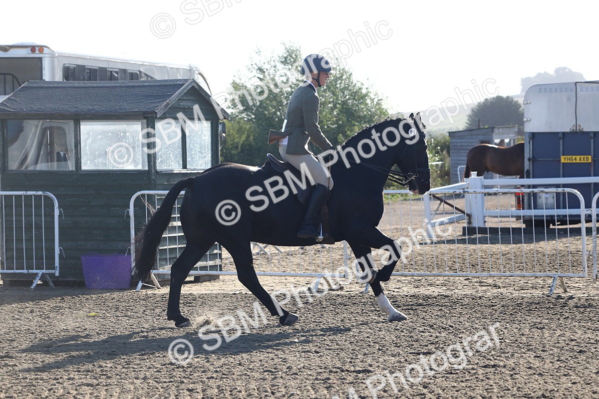 SBM_07920 - Class 501 - Riding Club Pony
