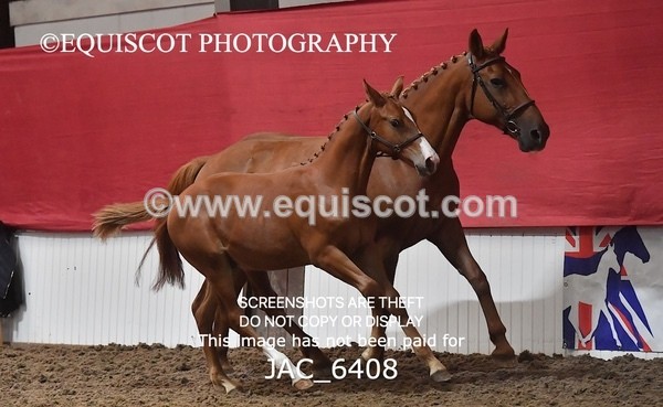 JAC_6408 - 19 Luca