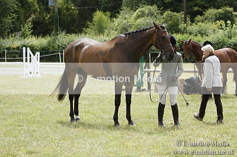 BVR160717-1848 - Ring 3 BVRC Show 16/07/17