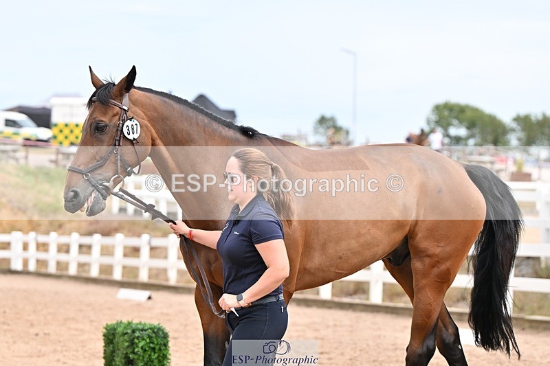 250716-154200-02140 - Trot Up 3.30 to 4.30