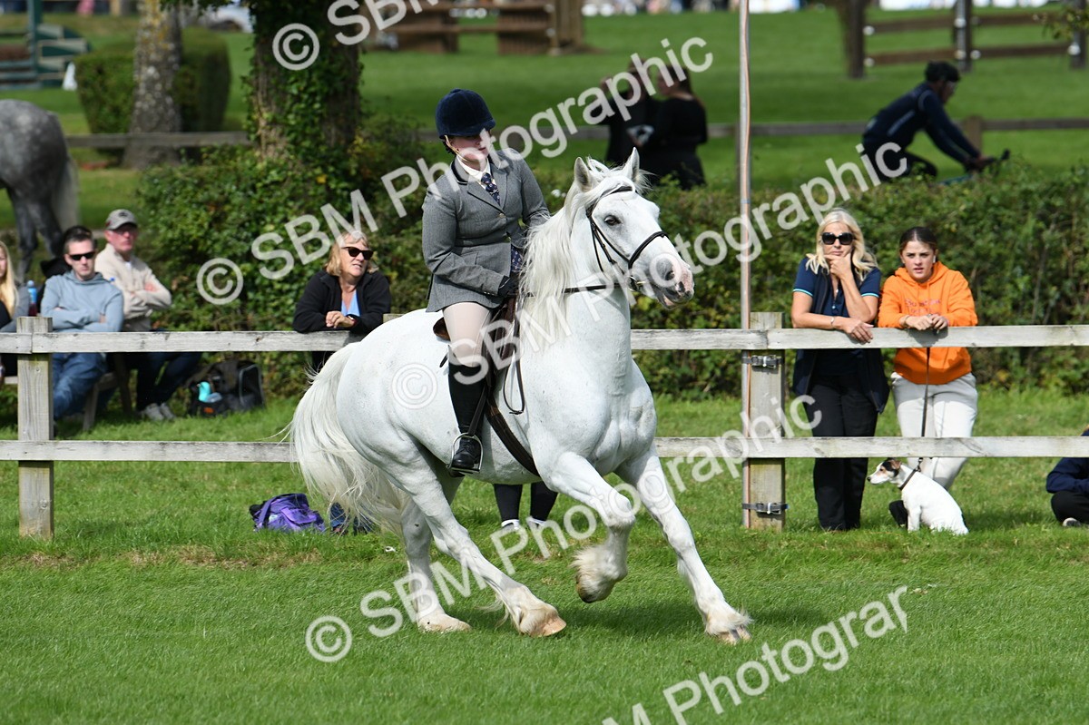 SBM_46900 - S12 - Family Horse & Pony