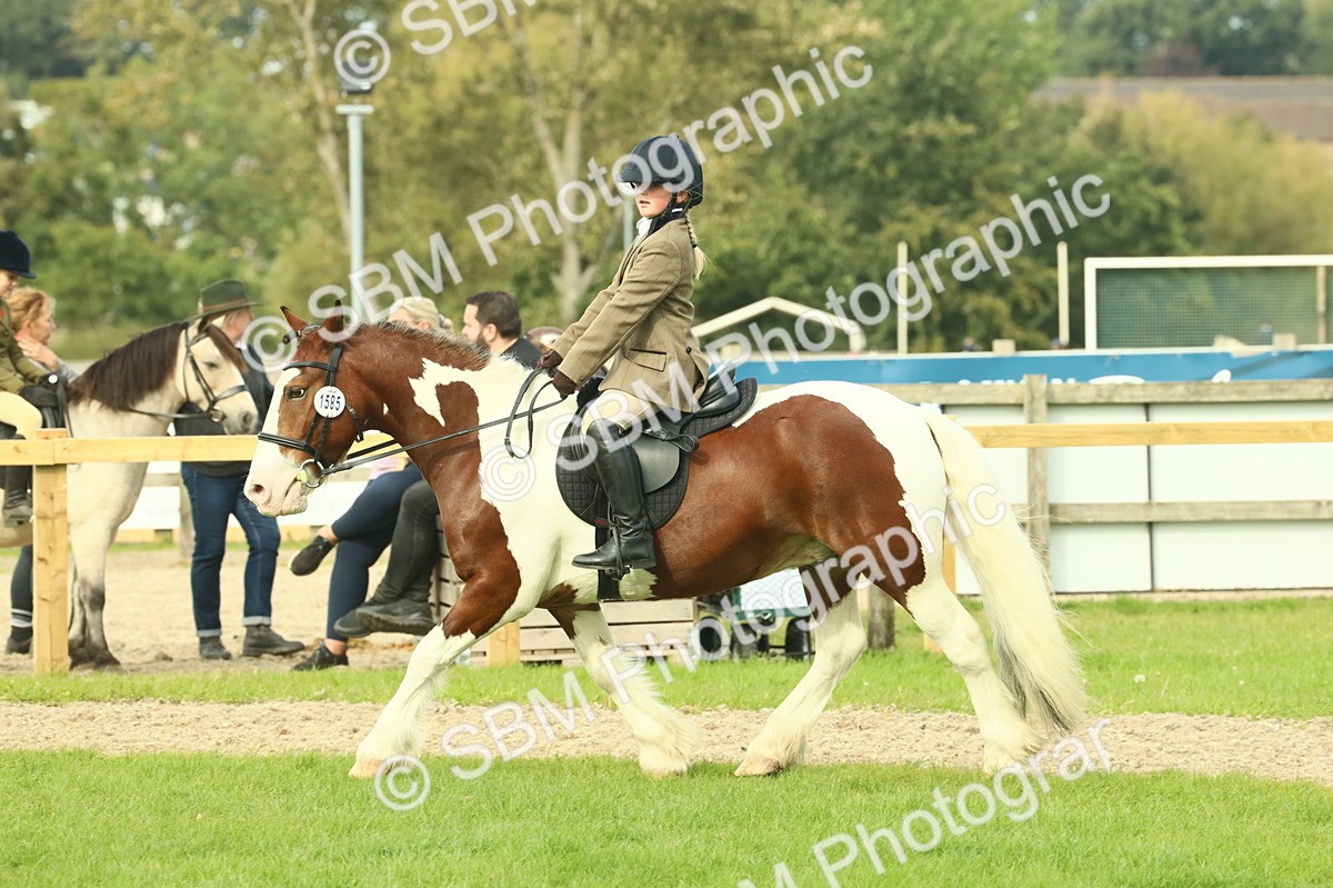 SBM_68247 - S58 - Mini Show Cob Ridden