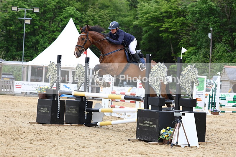 3E7A6309 - Class 4: Senior British Novice/90cm open