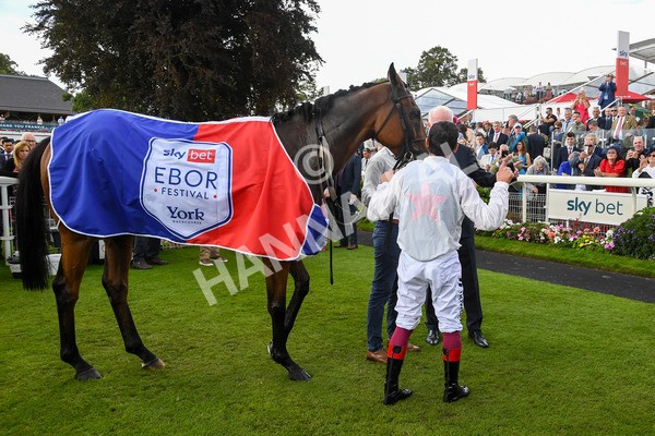 260823-Race 4-Absurde-1002 - Race 4 Sky Bet Ebor Handicap