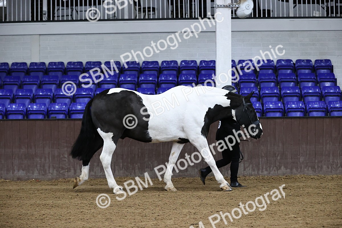 SBM_5239 - Class 32 - In Hand Cob Type