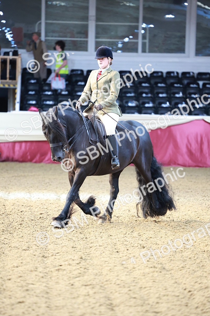 SBM_11841 - Class 102 - Equitation (Best Rider) Adult