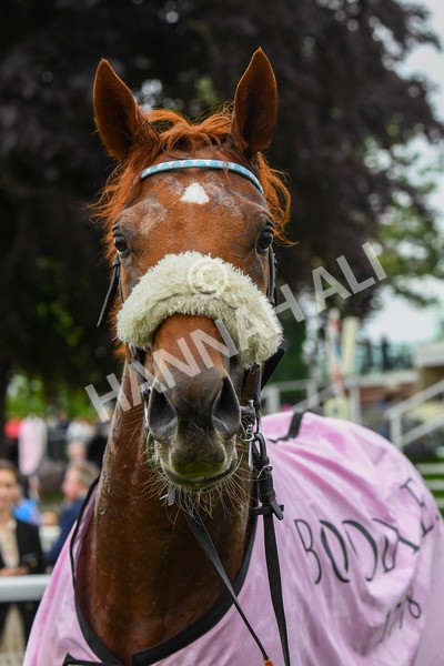190523-Race 4-Giavellotto-0628 - Race 4 3.35pm Boodles Yorkshire Cup Stakes
