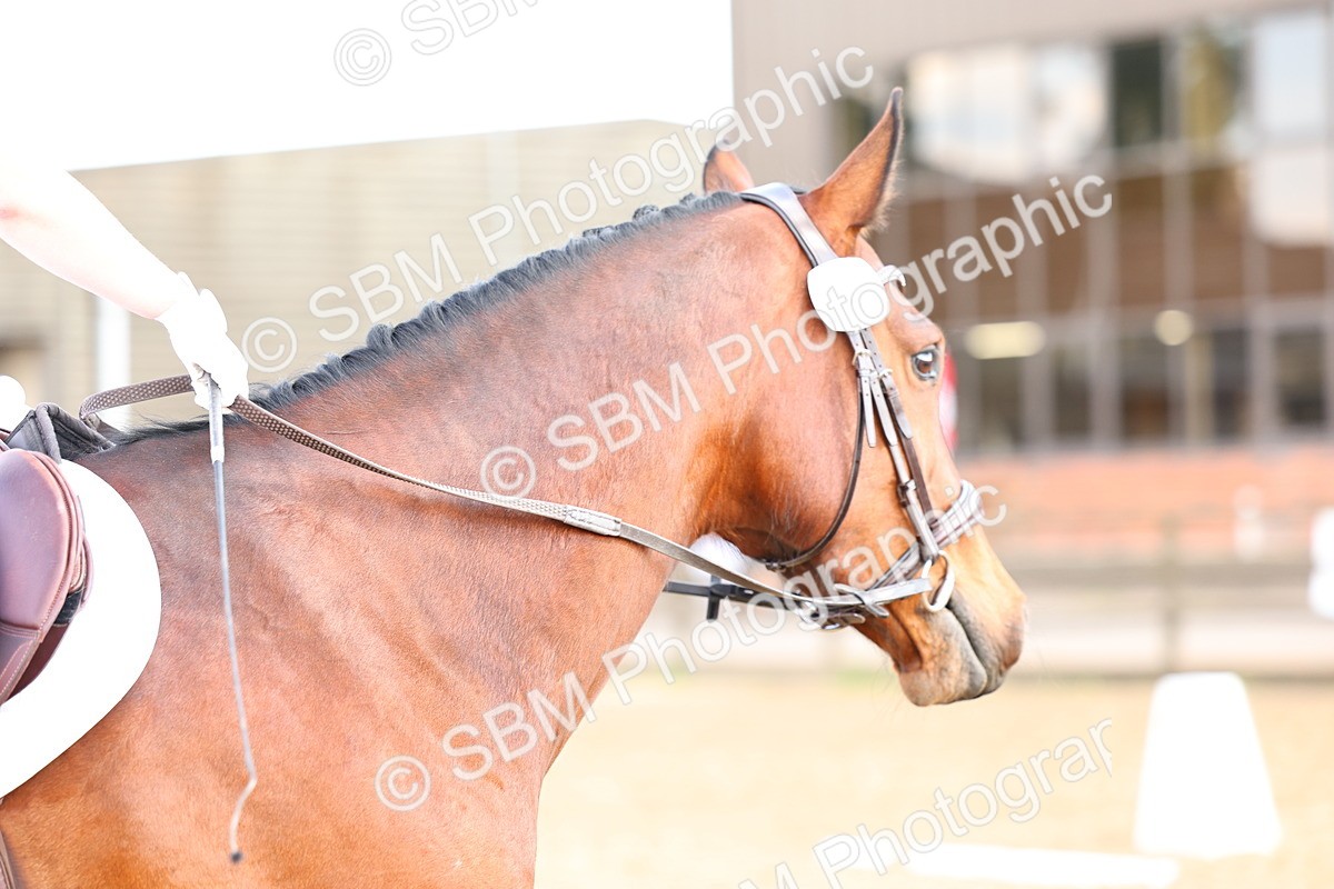 026A4060 - Class 1 - Intro 2