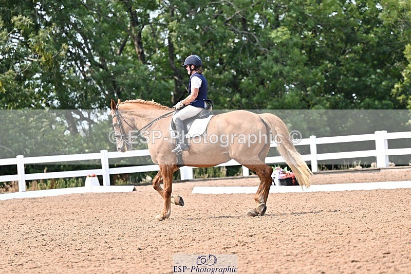 250816-142740-05365 - 147-Gill.AmosCoille.Mor.Pearl