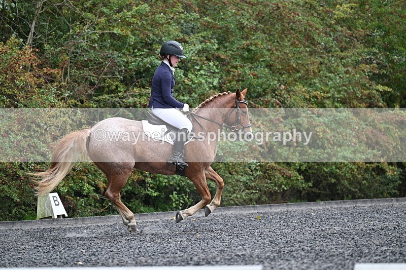 WJ7_3743 - Time 11:04 to 11:38