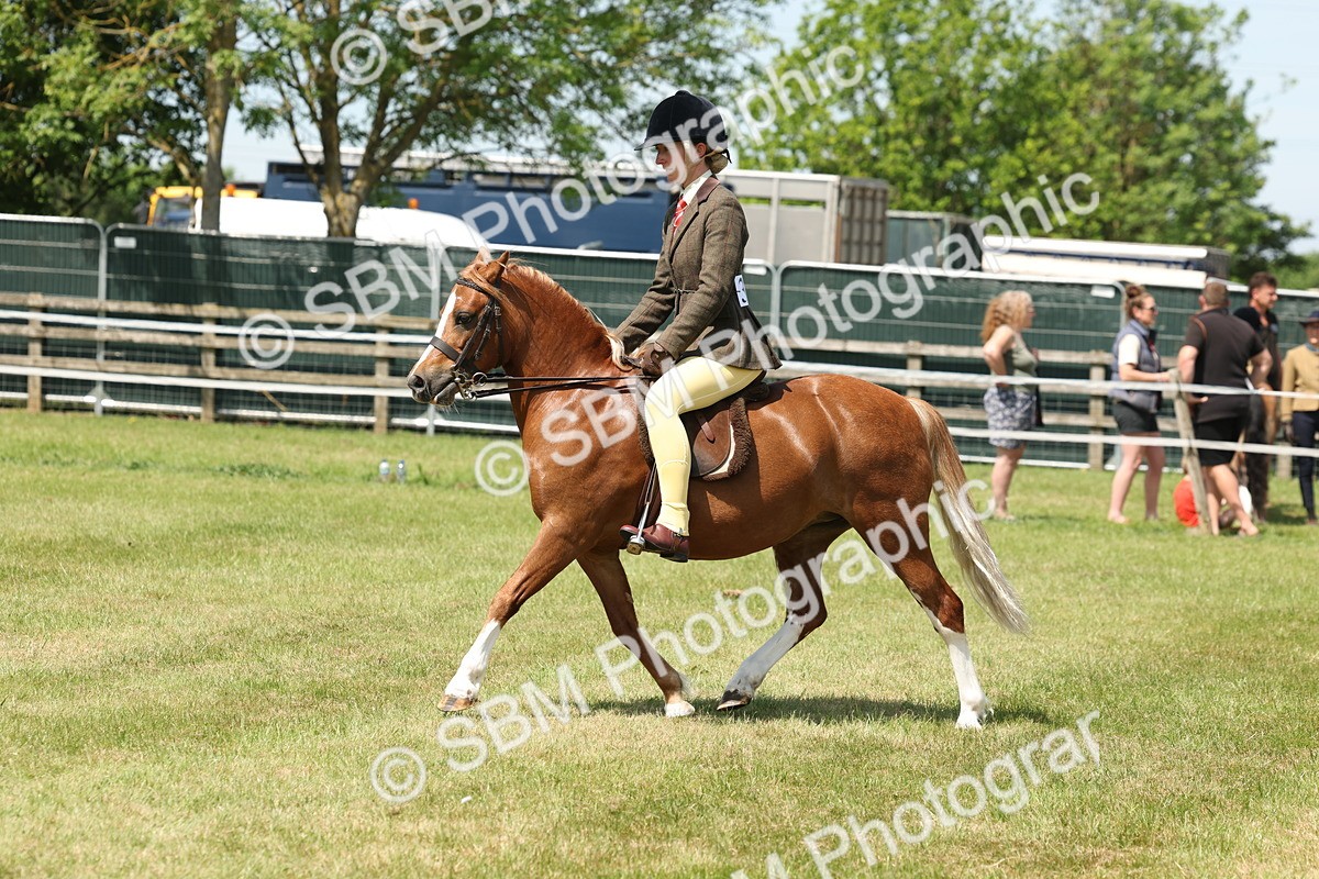 SBM_06756 - Class 26-30 - Mountain and Moorland Ridden