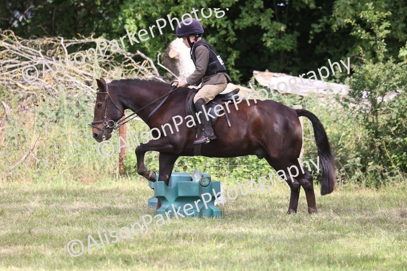 20260614-0517 - Class 20 - Beginners Working Hunter Pony