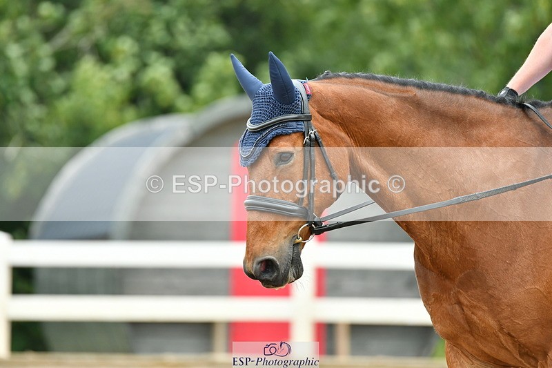 230708A-114646-01180 - Novice 23