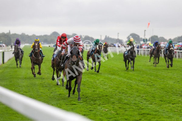 080924-Race 7-Young Fire-4613 - Race 7 5.10pm Elevator Company Amateur Jockeys' Handicap