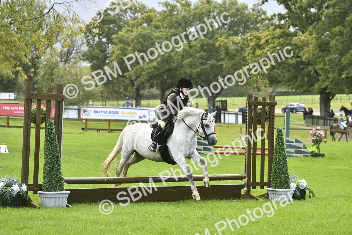 SBM_37163 - S31 - Novice & Newcomer Working Hunter Pony