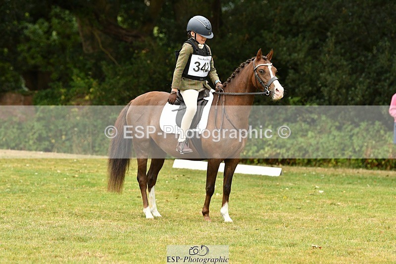 250820A-113124-05118 - 11am to 12