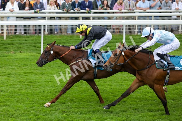 250524-Race 2-Arabie-3028 - Race 2 2.10pm Reg Bond 'Always And Forever' EBF Restricted Novice Stakes