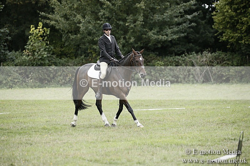 BVR080918 342 - BVRC Novice Dressage & CR 08/09/18