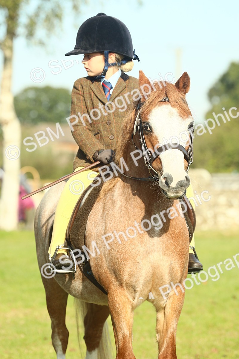 SBM_59247 - S38 - Starters Ridden Showing