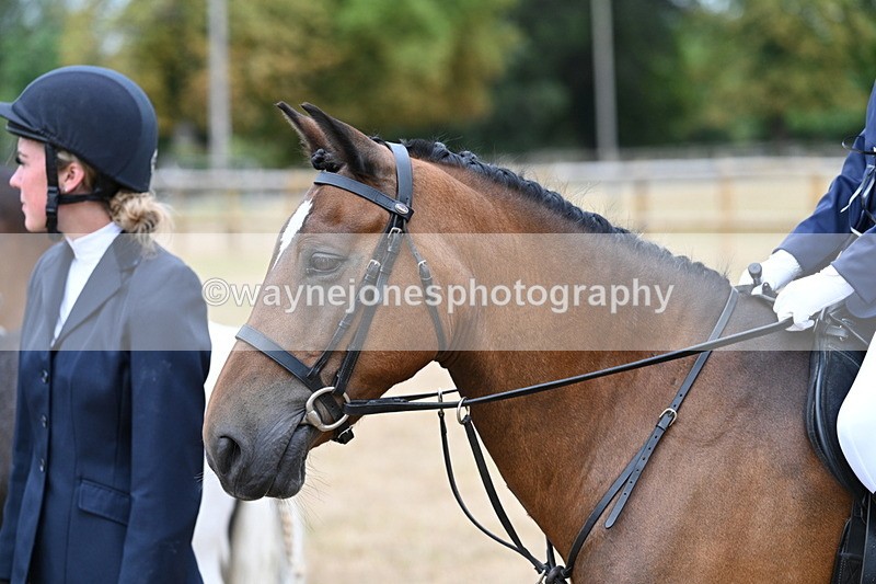 WJ7_7163 - Class 2 Best Rider
