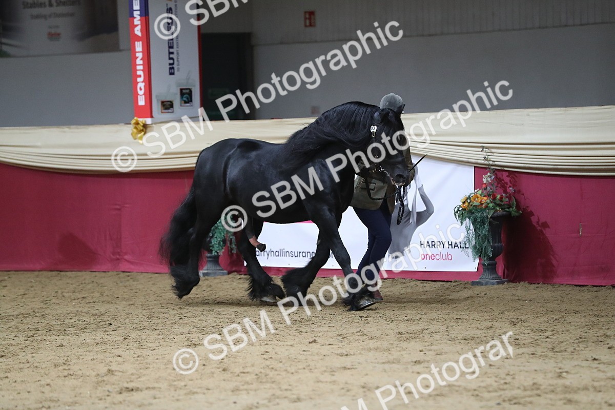 SBM_04987 - Class 8R- Regional -IH Veteran