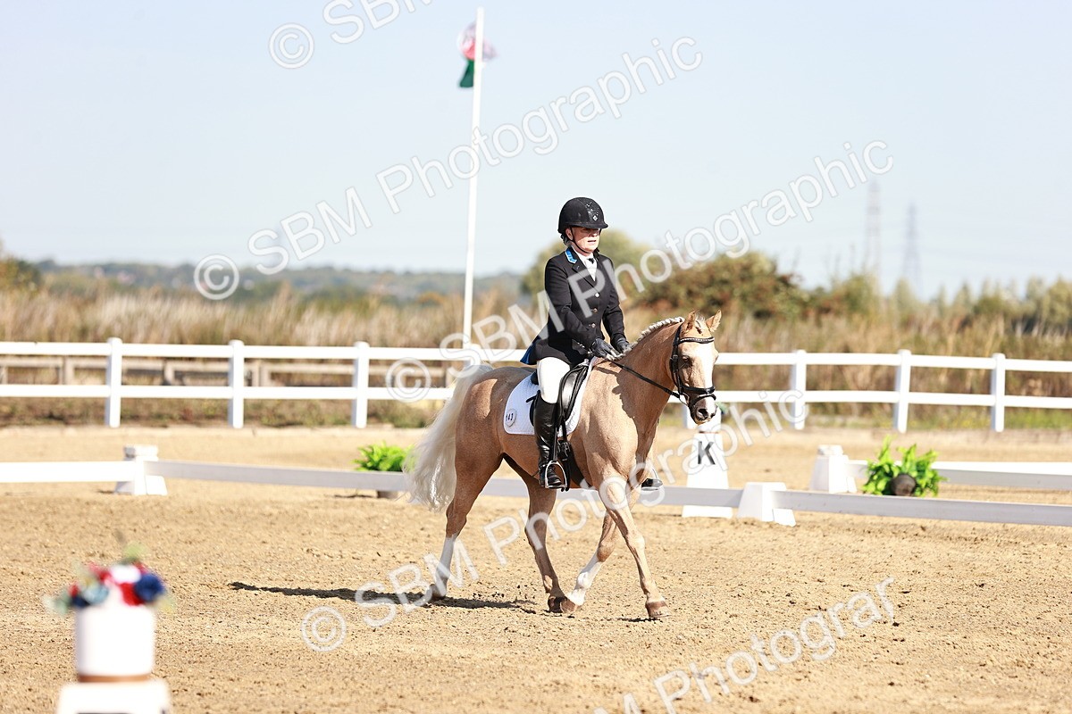 SBM_004338 - Class 12 - Novice 5 - 9.07-10.10