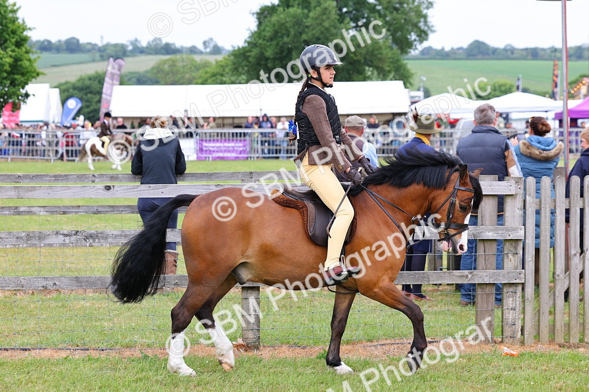 SBM_08503 - Class 42-43 - LIHS BSPS Heritage Working Sports Pony