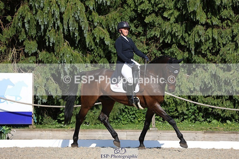 230526-172355-07968 - 178-RIDIRE_DORCHA-Lucy_Stimson-WEDTrotUp+DR