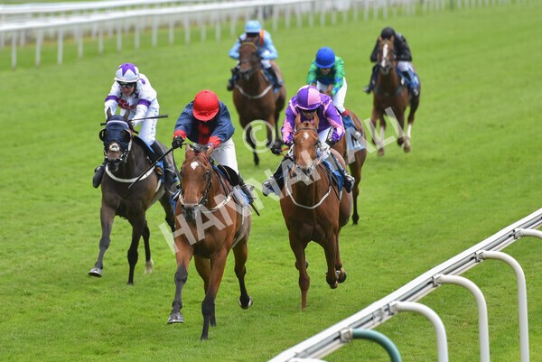 yr12062021r1-16 - Race 1 2.00pm Queen Mother's Cup