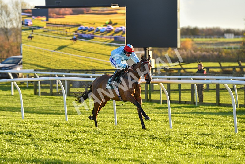 241123-Race 5-Bugise Seagull-7533 - Race 5