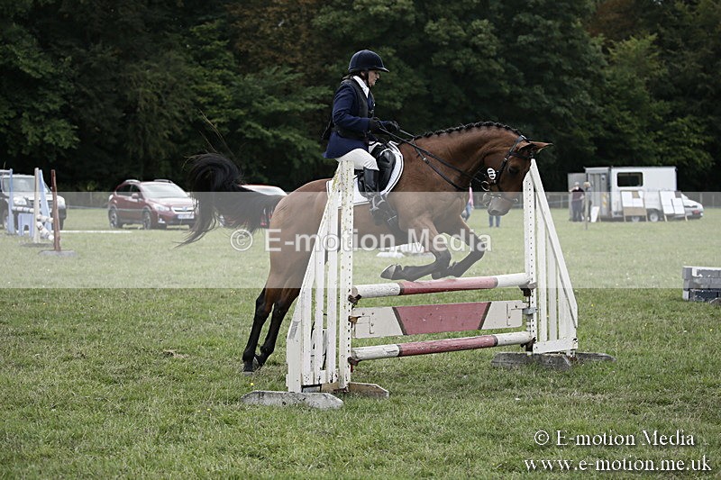 BVR090918 463 - BVRC Dressage and Show Jumping 09/09/18