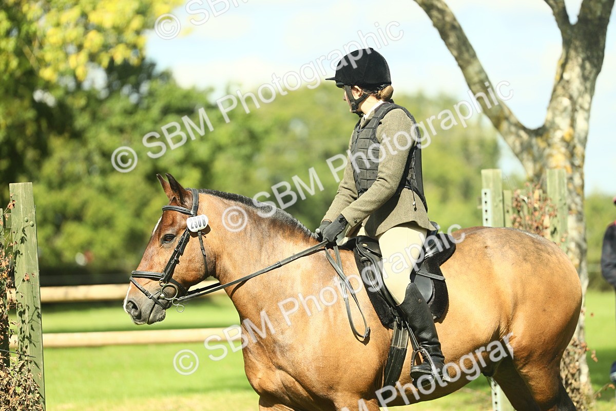 SBM_42091 - S29 - Novice & Newcomers Working Hunter Pony