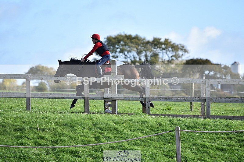 231105A-111714-00479 - 80cm